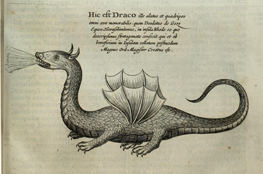 Depiction of a Dragon featured in Mundus Subterraneus.