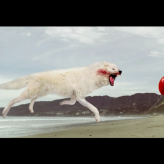 Drones: A fairytale about the big bad wolf
